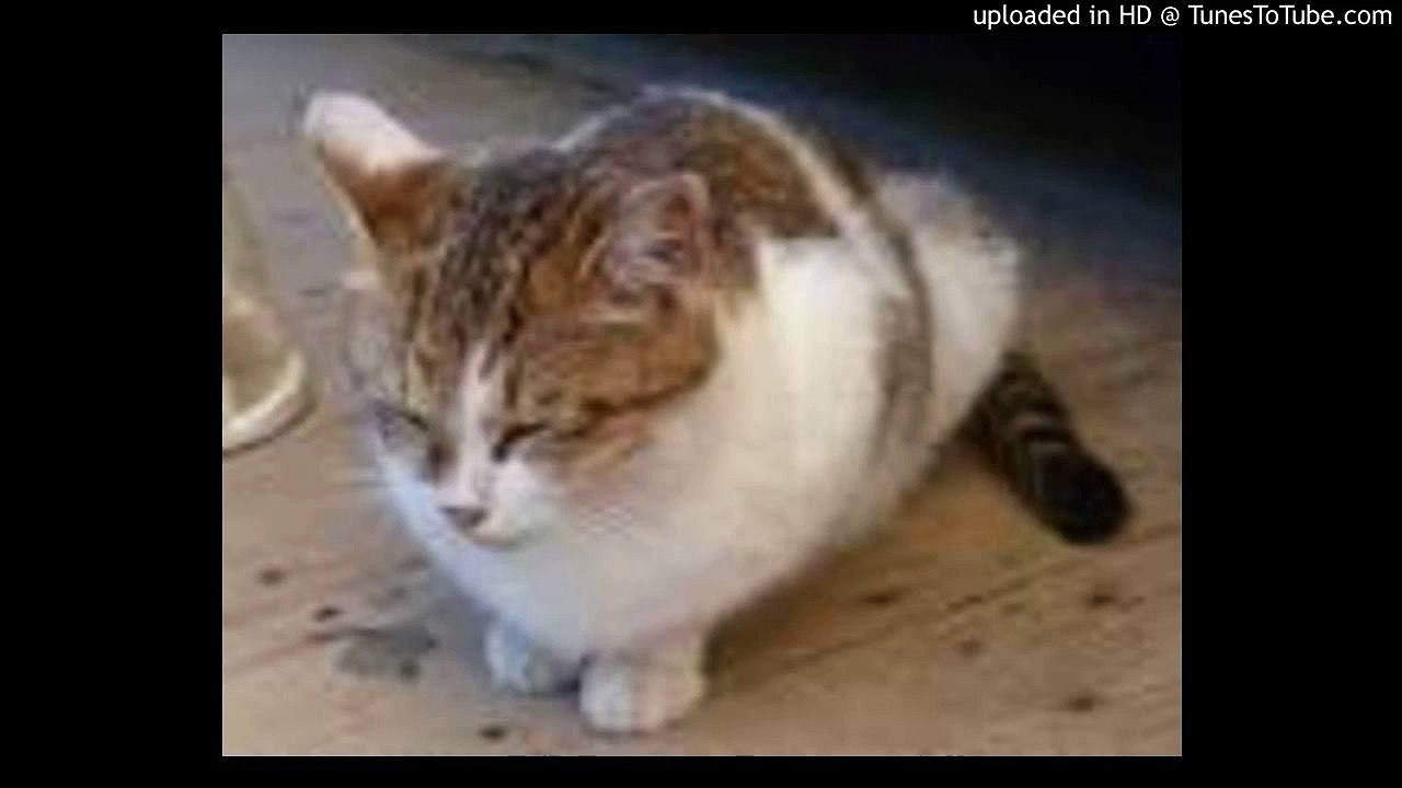 ルパン三世のテーマ/Lupin The Third/大野雄二/ピアノ 高橋丈太郎