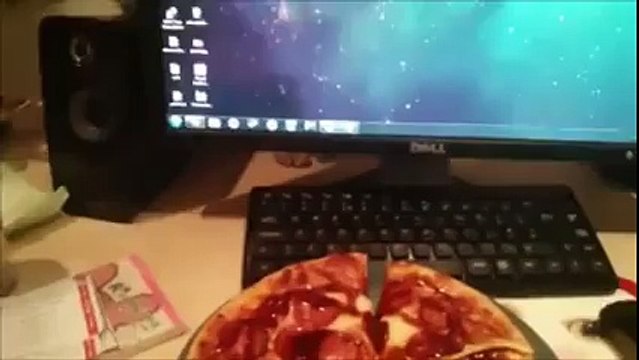 Quand votre chat tente de Voler votre Pizza Discrètement ...