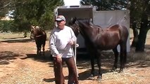 Understanding Horse Instincts - Being a voice for the Horse - Rick Gore Horsemanship
