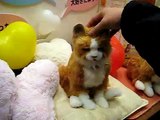 [Tokyo Toy Forum] Sega Toys Dream Cat