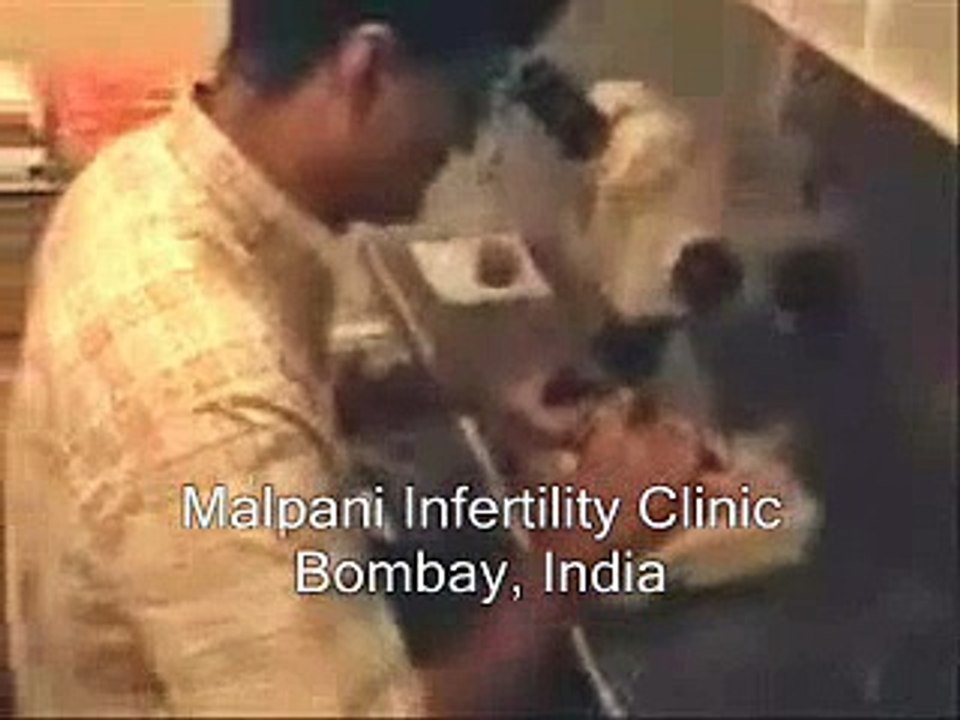 Egg retrieval in the IVF laboratory
