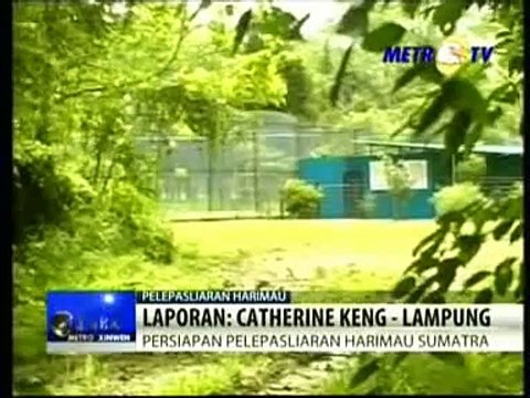 METRO XINWEN: Protect endangered Sumatran Tiger at Tambling Wildlife Nature Conservation