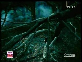 Florent Pagny - Et un jour une femme