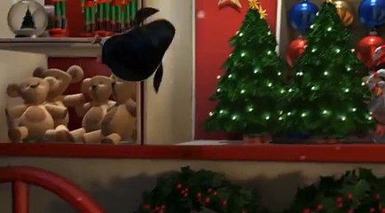 Пингвины Мадагаскар