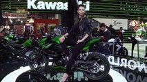 STAND Kawasaki @ EICMA 2014