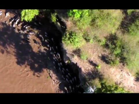 Kuş Bakışı Dünya - Afrika