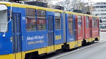 Tramvaje a autobusy v Brně