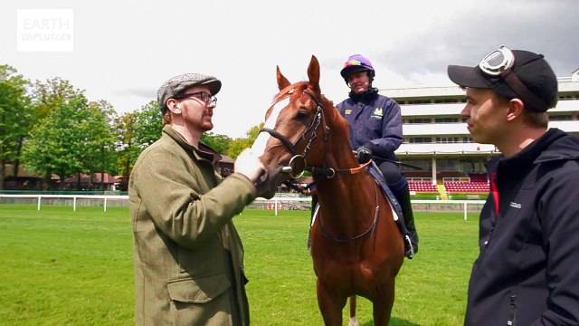 Amazing Slow Motion Horse Racing - Slo Mo #19 - Earth Unplugged
