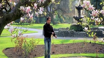 Pahle Kabhi Na Mera Dil - Baghban (2003) HD 1080p BluRay Music Video