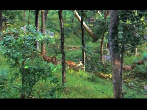 Kuş Bakışı Dünya - Asya ve Avustralya