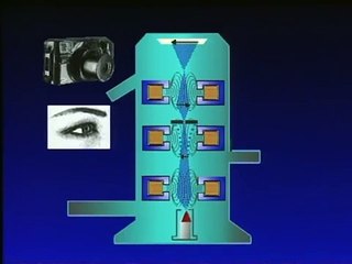 Ernst Ruska and the Electron Microscope (Milestones of Science)