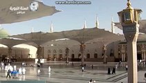 Ziarat Masjid Nabvi, المسجدِ نبوی صلیٰ اللہ تعالیٰ علیہ وآلیہ وسلم، تلاوت القُرآن