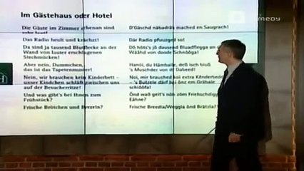 Harald Schmidt Sprachkurs Schwäbisch