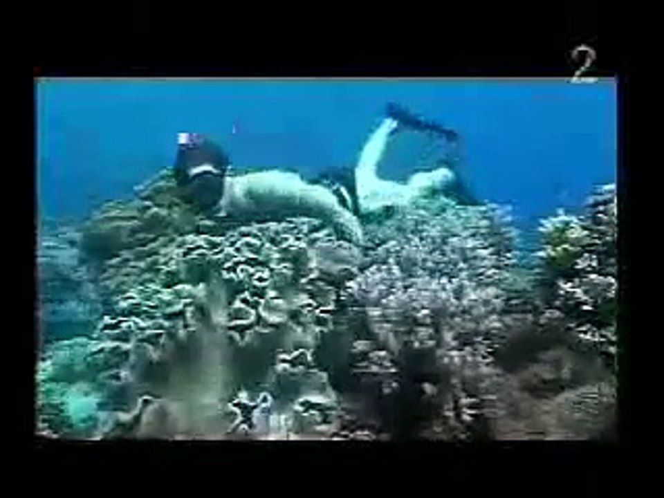 Morten Harket @ Timor