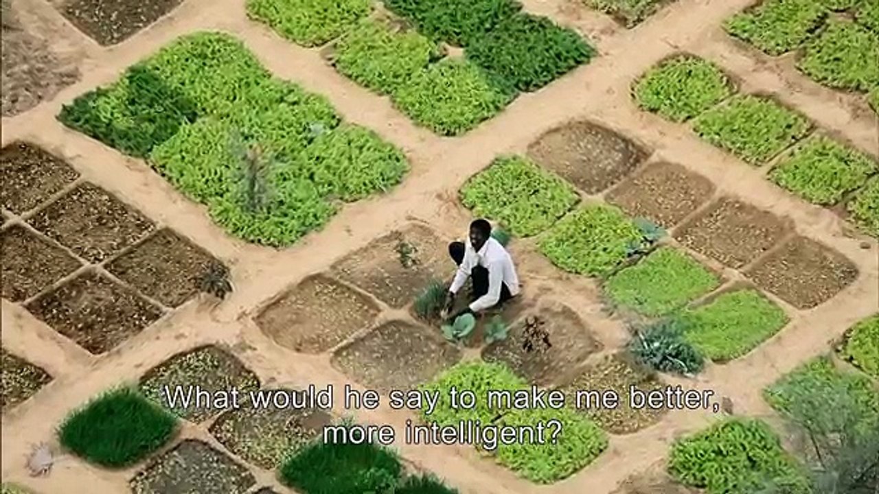 Yann Arthus-Bertrand présente 7 milliards d'Autres