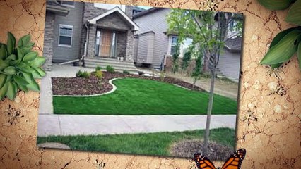 Natural Grass & Property Maintenance in Newcastle 🌿