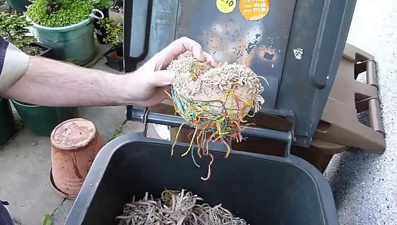 Biljka sa druge planete