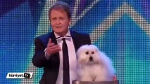 Speaking dog competition at  Britain's Got Talent stunned everyone!