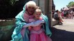 Disney Princess Video Elsa Anna Cinderella Aurora Ariel Jasmine Disney World Meet and Greet