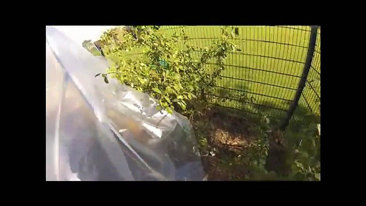 Polytunnel Sheeting Head Cam View