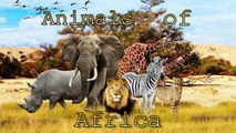 Africa animals their voices and sounds