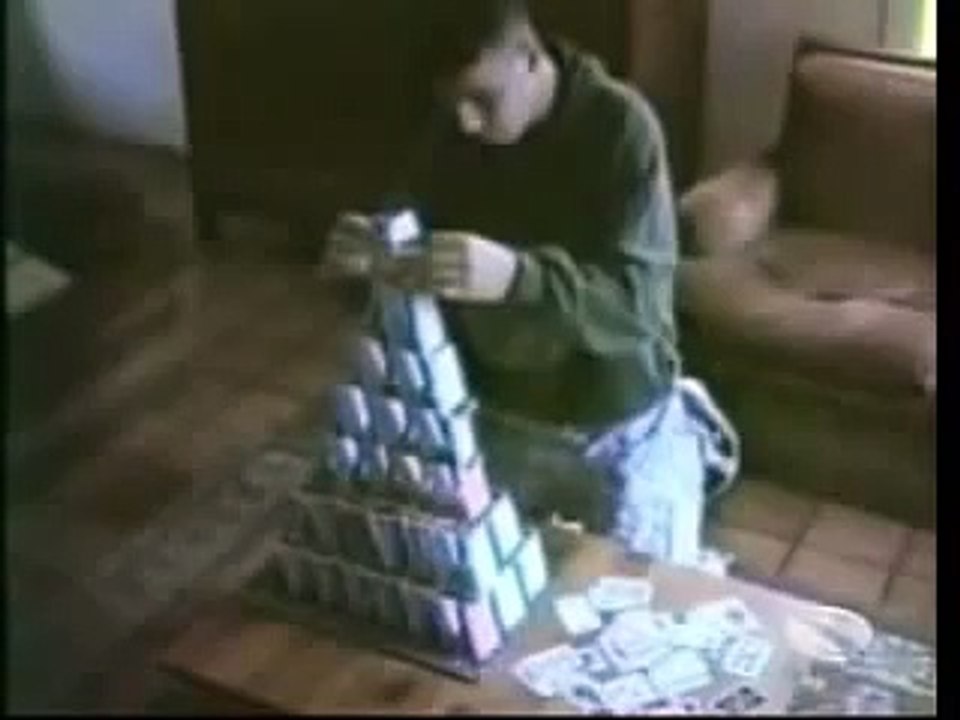 Video Divertenti Animali - Gatti pazzi