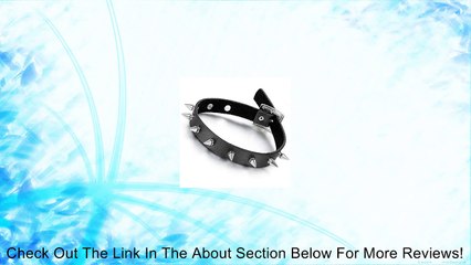 Flongo Gothic Black Rivet Leather Spiked Necklace Neckband Choker Review