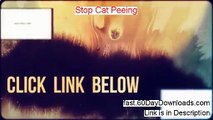 Stop Cat Peeing On Bed - Stop Cat Peeing