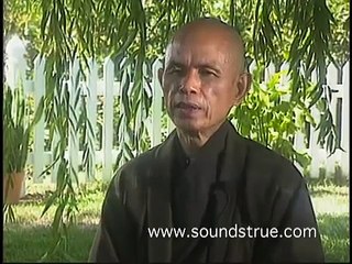 Thich Nhat Hanh- Mindful Movements