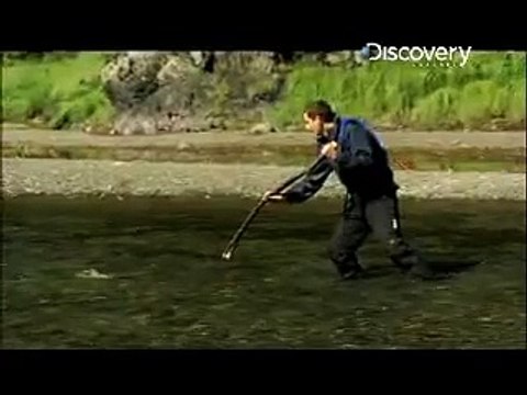 Bear Grylls mange du sushi de saumon