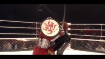 Combats de chevaliers en MMA en Russie