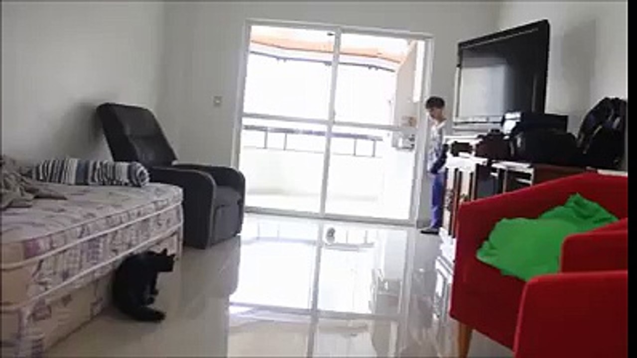 amzing goal stop by cat