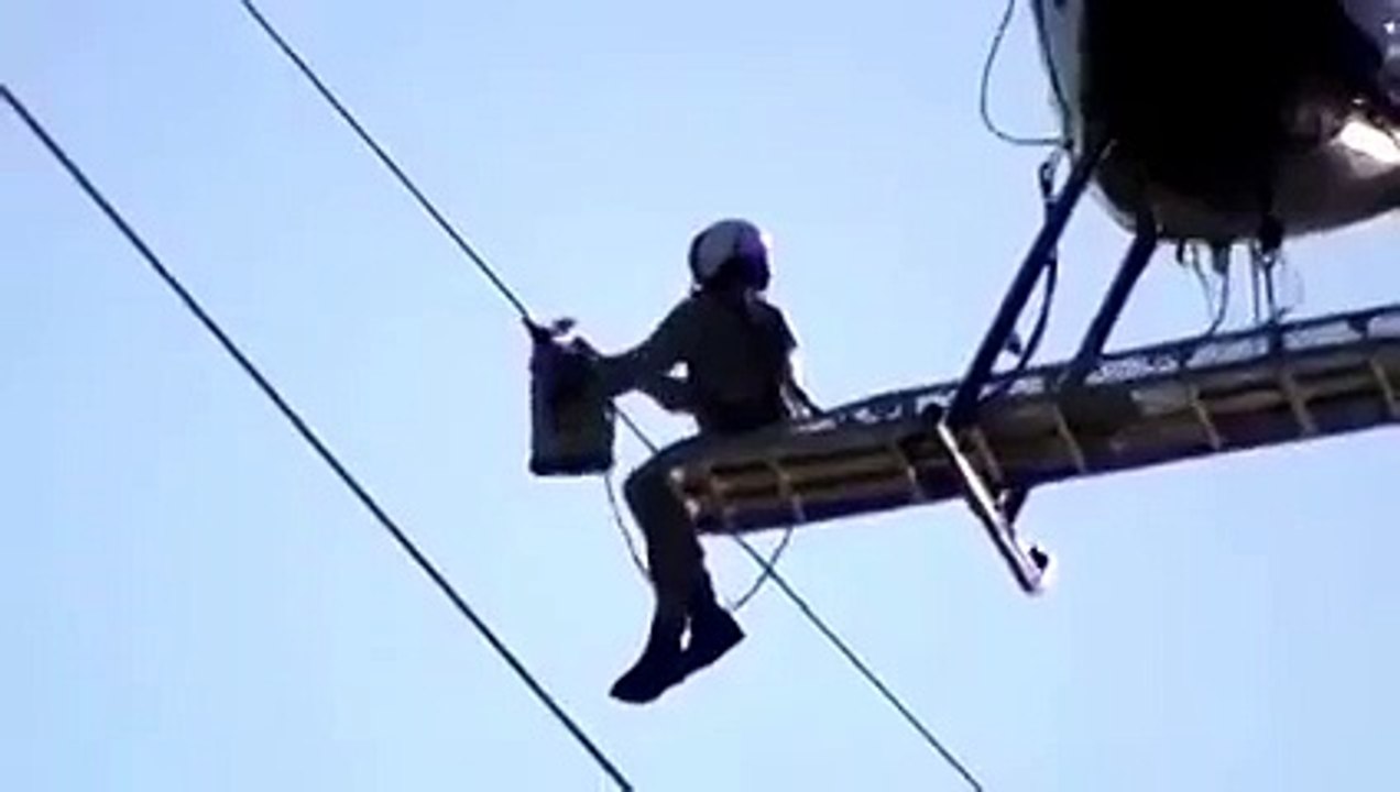 Awesome Service to Save a BIRD