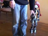 The Acroban Humanoid, Siggraph 2010 Emerging Technologies