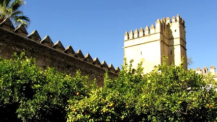 Arab bath, Alcázar of the Christian Monarchs, Córdoba, Andalusia, Spain, Europe