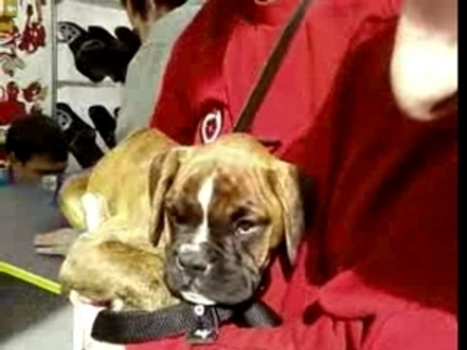 Bosko Octobre 2006