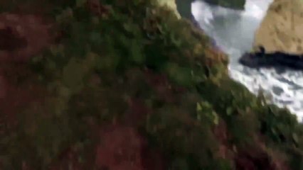 Nous avons la preuve que les sirènes existent bel et bien