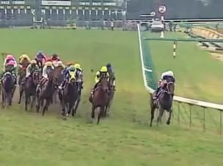 第23回ジャパンカップ　 タップダンスシチー