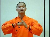 Shaolin Iron Skill Kung Fu : Training for Kung Fu Iron Body