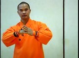 Shaolin Iron Skill Kung Fu : Leg Training for Iron Body Kung Fu