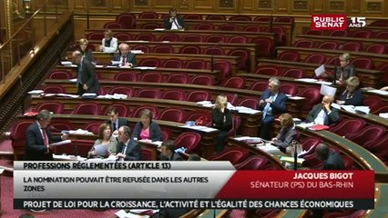 Best of sur l'examen des professions réglementées sur le projet de loi Macron - En séance