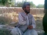 funny pathan song?syndication=228326