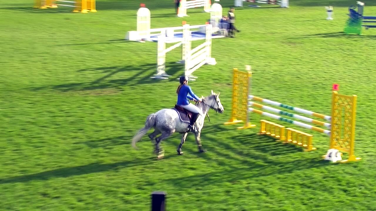 USHAZ PONTHOUAR_BIP_CSIOP_2015_EP12 AS PONEY 2D GP