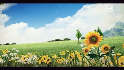 ZDRAVLJE IZ PRIODE BR 003 BOLESTI SRCA VODECI UBICA COVEKA