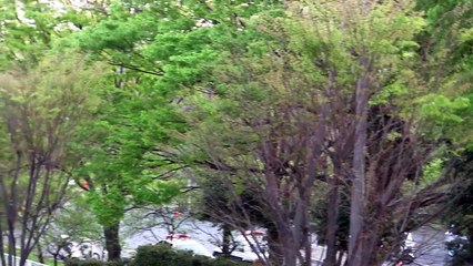 【ネズミ捕りの瞬間】 国道17号・新大宮バイパス上り線・スピード違反取締りの様子 - 与野公園 【春の交通安全週間】