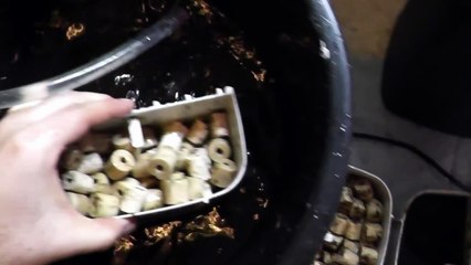 Cleaning and maintenance: Fluval 106, 206, 306, 406 canister filter