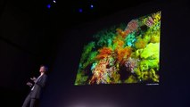 Pourquoi il faut se mobiliser contre la pêche en eau profonde: Claire Nouvian at TEDxParis 2013