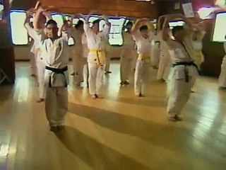 kyokushin karate bible 1 of 7