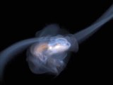 Merging Galaxies Computer Simulation