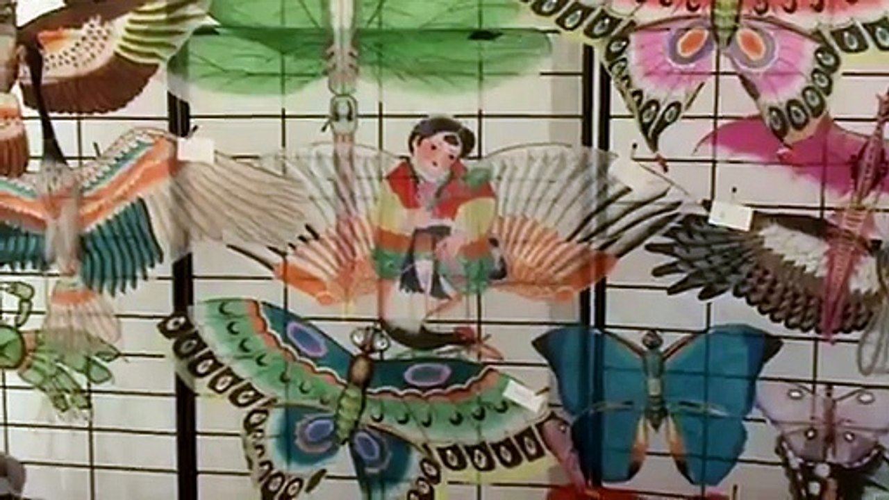 Berck Cerf-Volant 2015